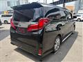 2020 Toyota Alphard G