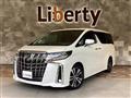 2019 Toyota Alphard G