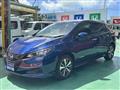 2022 Nissan Leaf