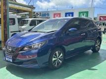 2022 Nissan Leaf
