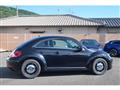 2014 Volkswagen Beetle