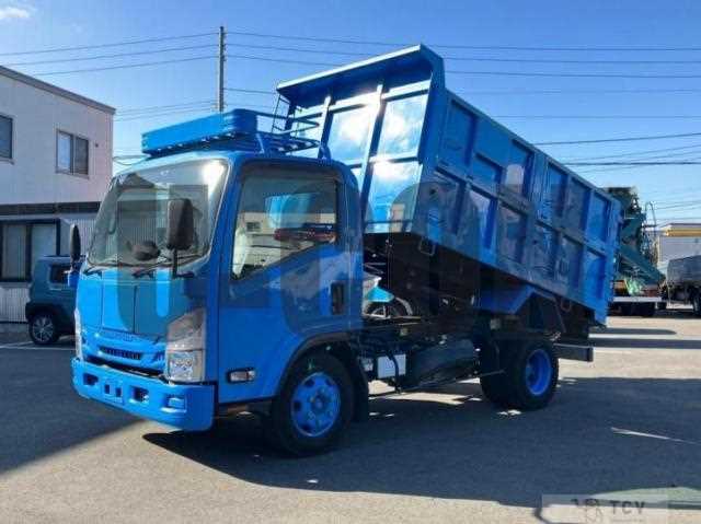2017 Isuzu Elf Truck