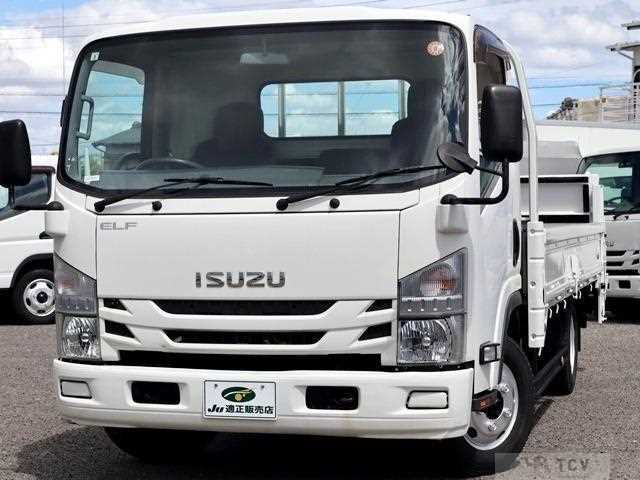 2019 Isuzu Elf Truck