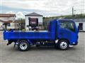 2025 Isuzu Elf Truck