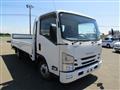 2019 Isuzu Elf Truck