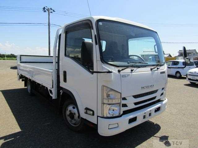 2019 Isuzu Elf Truck