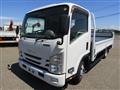 2019 Isuzu Elf Truck