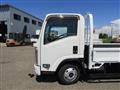 2019 Isuzu Elf Truck