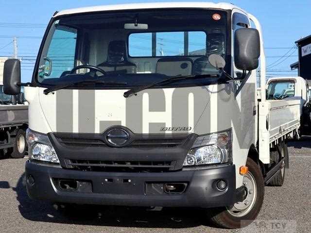 2019 Hino Dutro