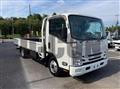 2019 Isuzu Elf Truck