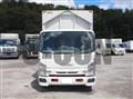 2017 Isuzu Elf Truck