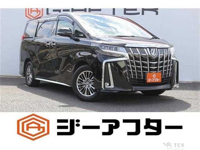 2019 Toyota Alphard G