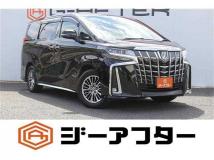 2019 Toyota Alphard G