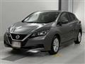 2021 Nissan Leaf