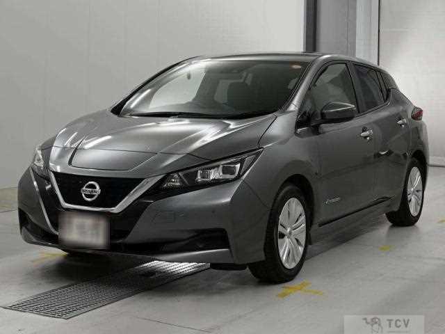 2021 Nissan Leaf