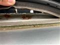 2000 Toyota Vitz