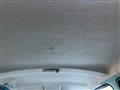 2011 Daihatsu Esse