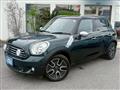 2013 BMW MINI