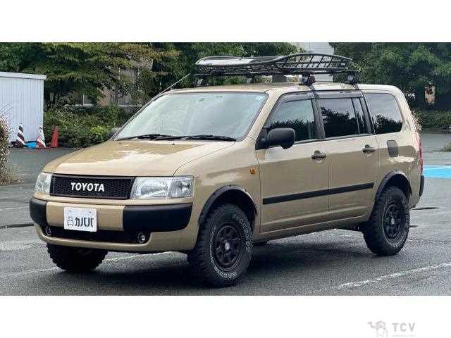 2009 Toyota Probox Wagon