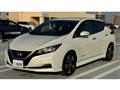 2019 Nissan Leaf