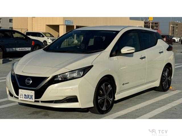 2019 Nissan Leaf