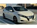 2019 Nissan Leaf