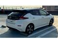 2019 Nissan Leaf