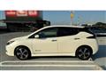2019 Nissan Leaf