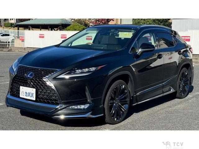 2021 Lexus RX