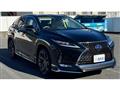 2021 Lexus RX