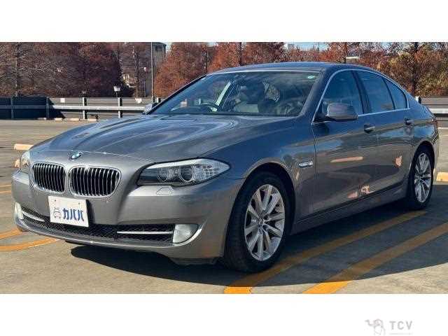 2010 BMW 5 Series