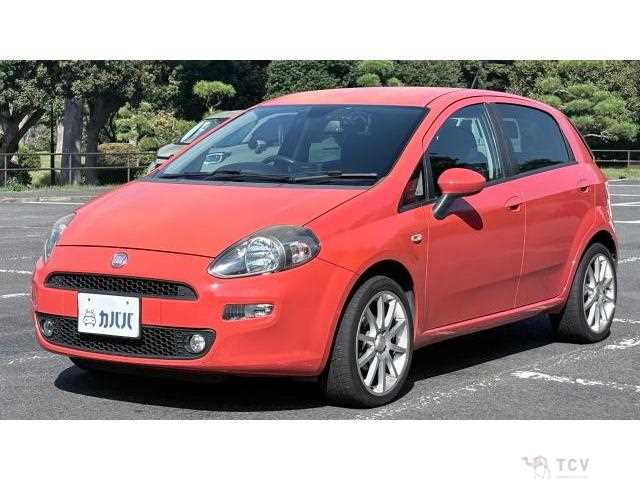 2013 Fiat Punto