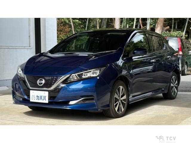 2019 Nissan Leaf