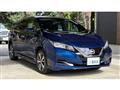 2019 Nissan Leaf