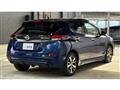 2019 Nissan Leaf