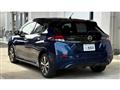 2019 Nissan Leaf