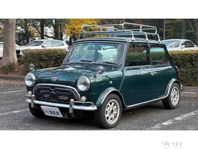 1996 Rover Mini