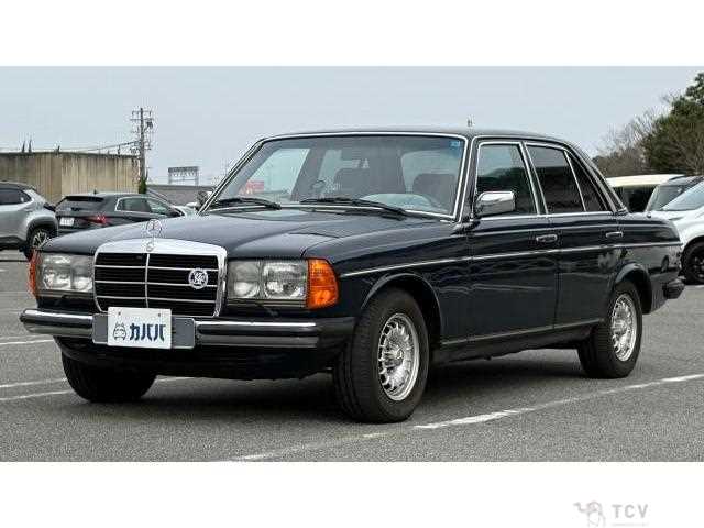 1981 Mercedes-Benz Midium Class