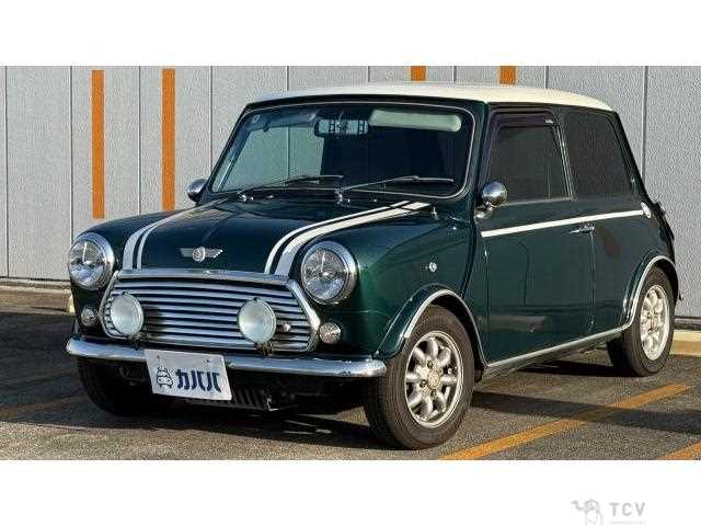 1995 Rover Mini