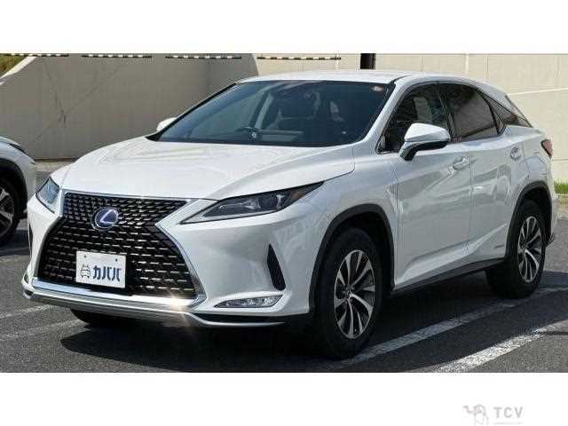 2019 Lexus RX