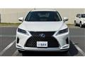 2019 Lexus RX