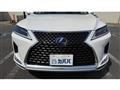 2019 Lexus RX