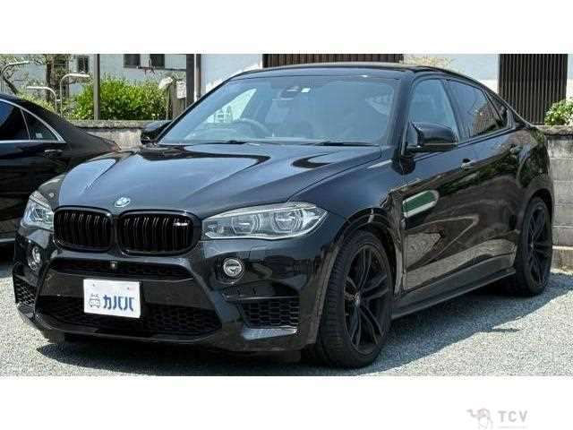 2016 BMW X6
