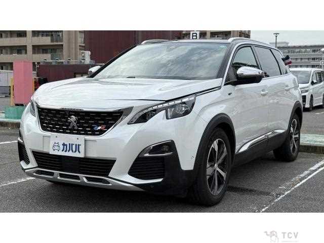 2019 Peugeot Peugoet Others