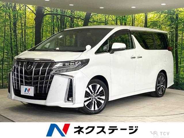2019 Toyota Alphard G