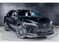 2025 Lexus RX