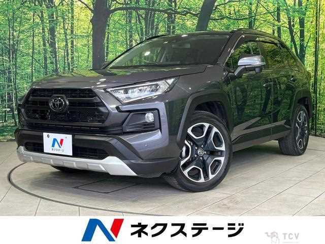 2019 Toyota RAV4