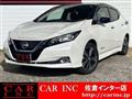 2018 Nissan Leaf