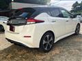 2018 Nissan Leaf