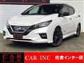 2019 Nissan Leaf